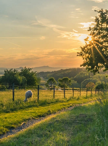 Agricultural