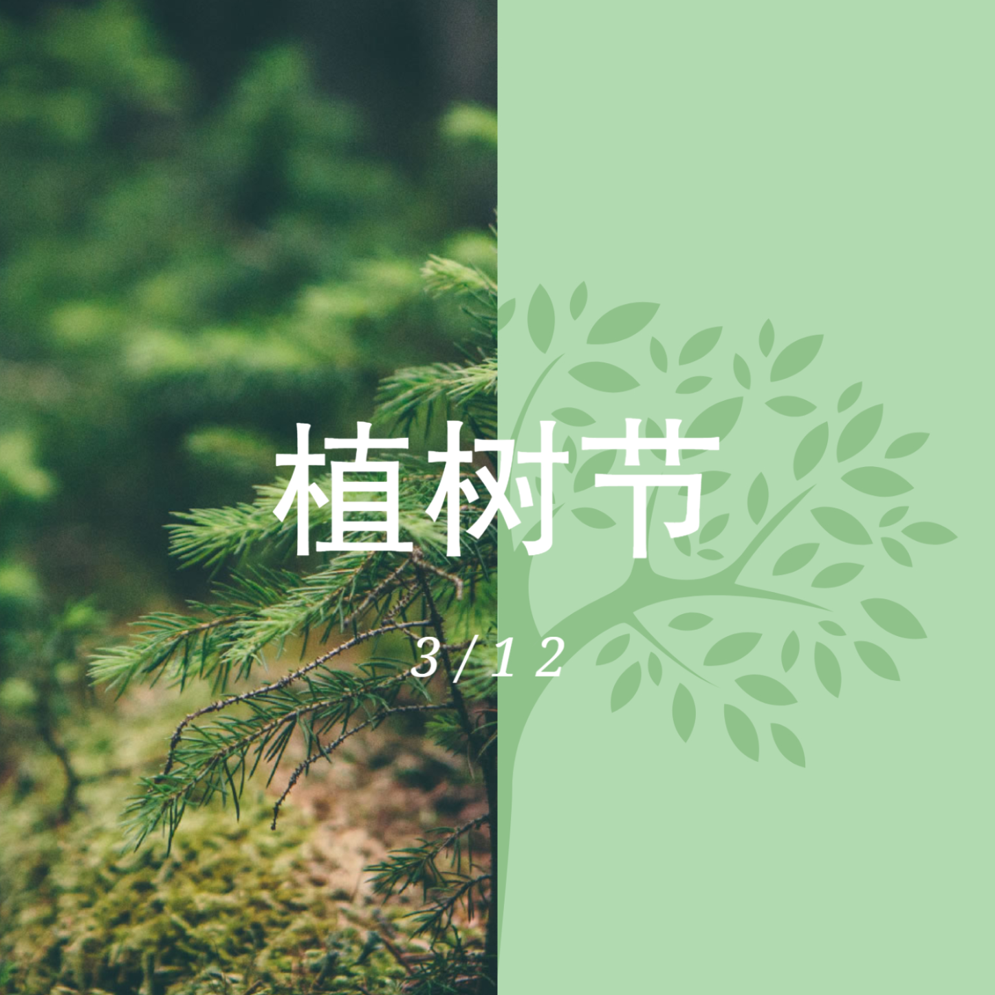碳减排，维尔利在行动