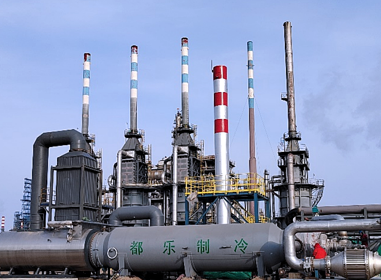 Shandong Shouguang Luqing Petrochemical Co., Ltd. VOCs management project