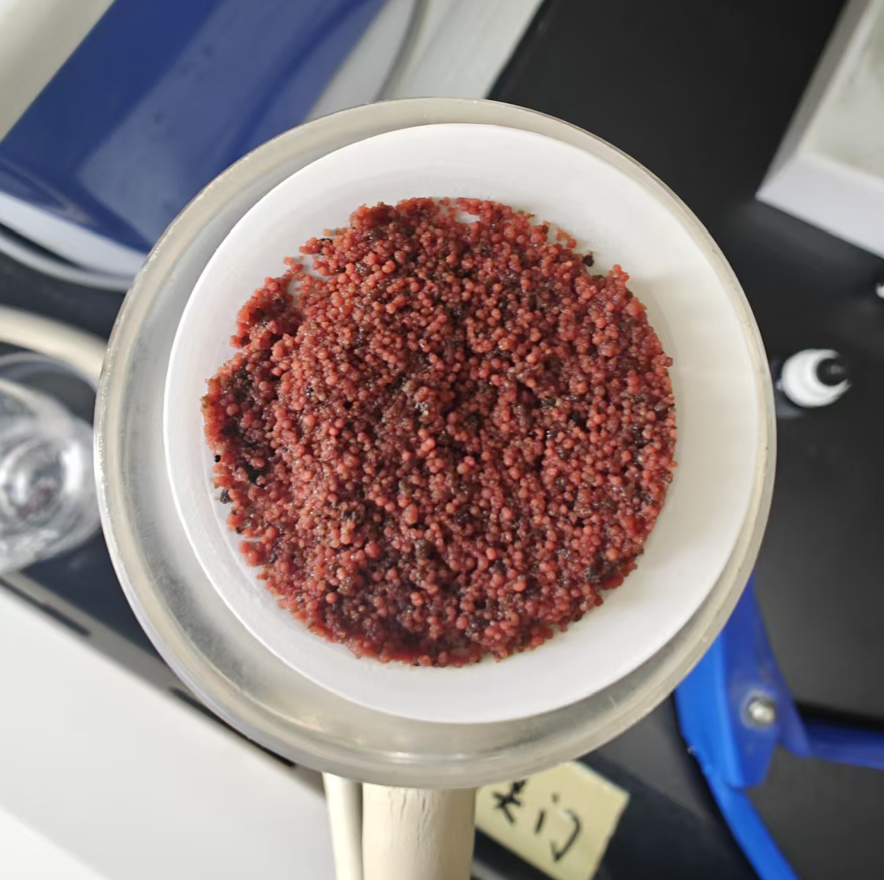 年节碳源超300吨，维尔利西安江村沟项目厌氧氨氧化工艺实现生态经济双赢