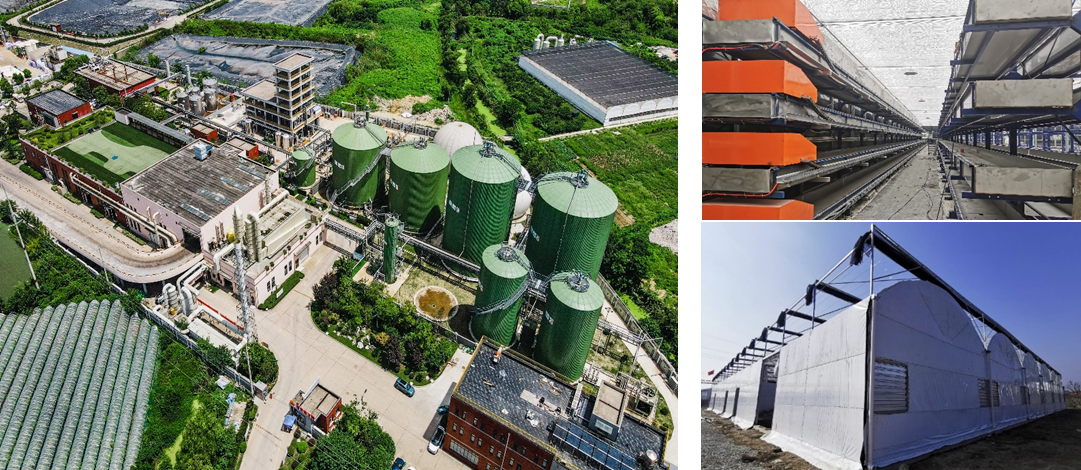 维尔利集团：以碳氮循环为核心，构建生物质废弃物资源化闭环路径